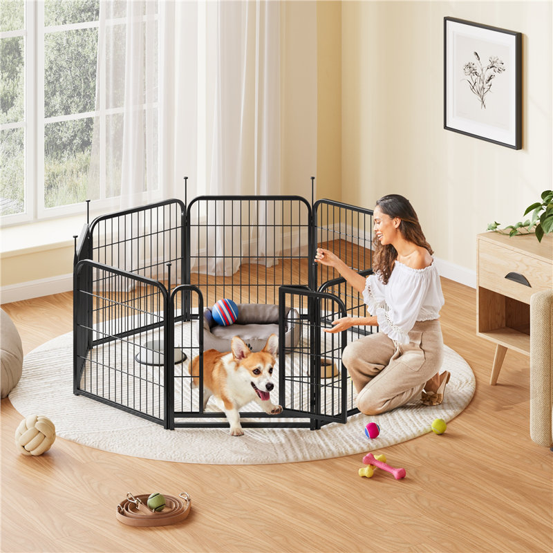 Panel Metal Exercise Pen With Door, 60cm x 60cm