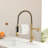 Pull Down Kitchen Faucet-125337517