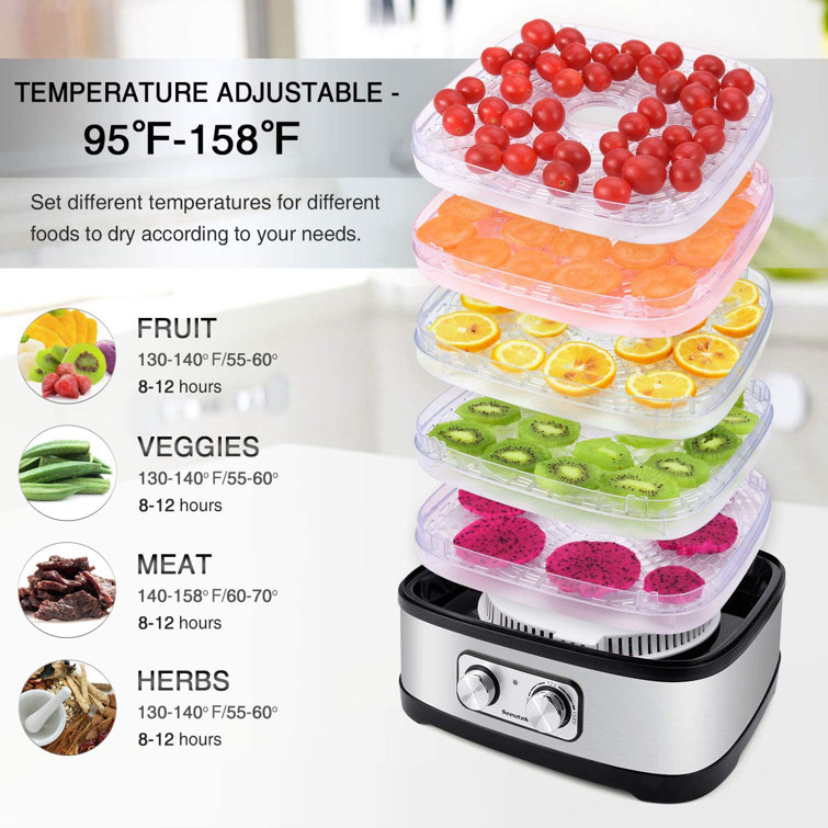 Food Dehydrator Fruit Dryer Mini Food Dryer Machine With Adjustable  Temperature Control For Herb, Meat, Beef, Vegetables, Cat And Dog Food