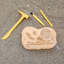 Geosafari Jr. Trousse de fouilles fossiles
