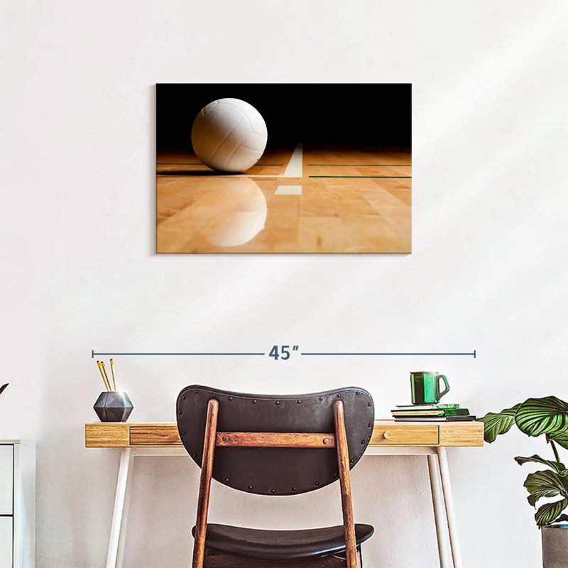 Sireci White Volleyball Reflection, 20" H x 30" W
