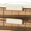1600ml Food Storage Container