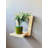 Colesen Wall Shelf