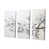 Toile tendue
