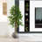 6ft. Artificial Black Olive Tree