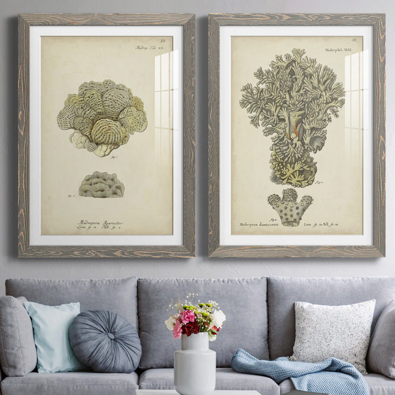 Toile encadrée écru corail, H 24 po x l 36 po x P 1,5 po, Cadre en papier gris, Blanc
