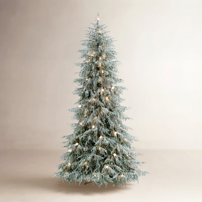 Pine Christmas Tree
