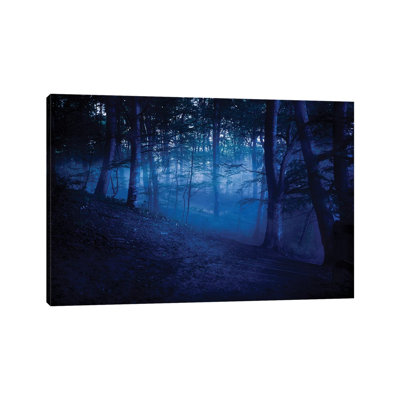 A Dark, Misty Forest, Liselund Machines à sous, Danemark par Evgeny Kuklev - photographie sur toile tendue