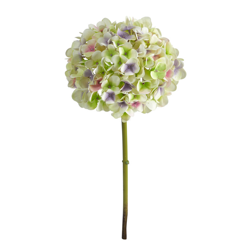 Tige d'hortensia, Mauve clair