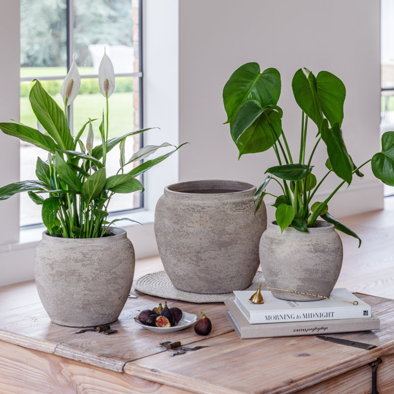 Ceramic Pot Planter