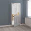 Rushmore Glazed Internal Door Primed