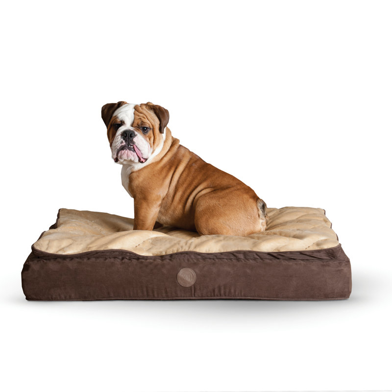 Coussin pour chien Feather, Petit (l 30 po x P 20 po x H 6,5 po), Chocolat/cannelle