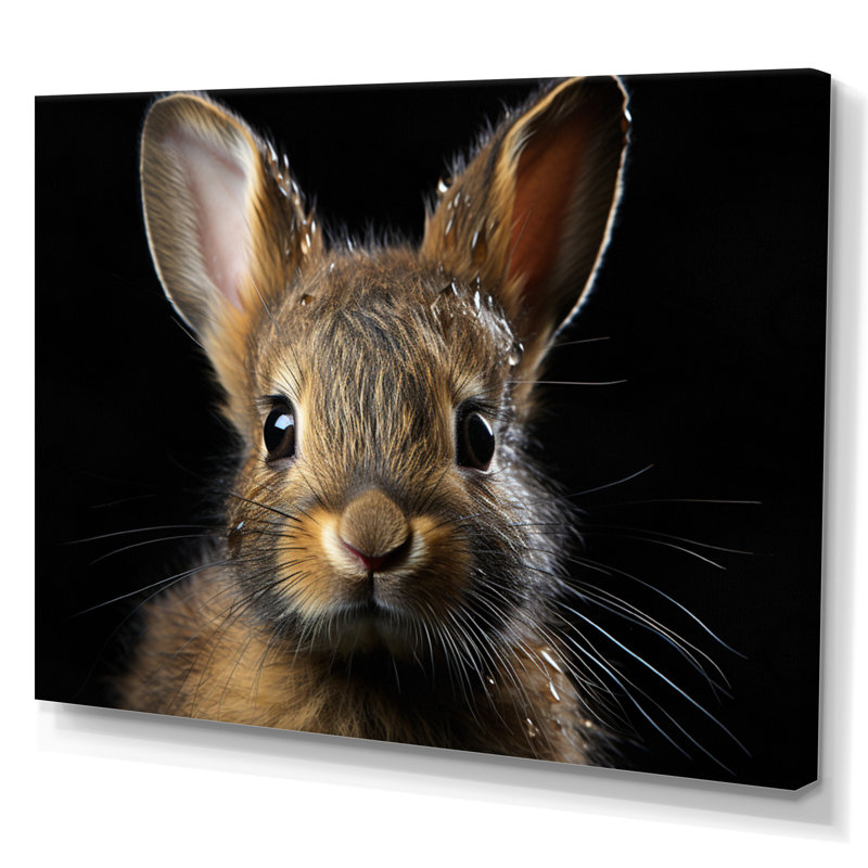 Cute Rabbit Portrait - Animals Canvas Wall Art, H 30 po x l 40 po x P 1,5 po, Toile tendue