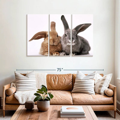 Lapins bruns et gris Brampt