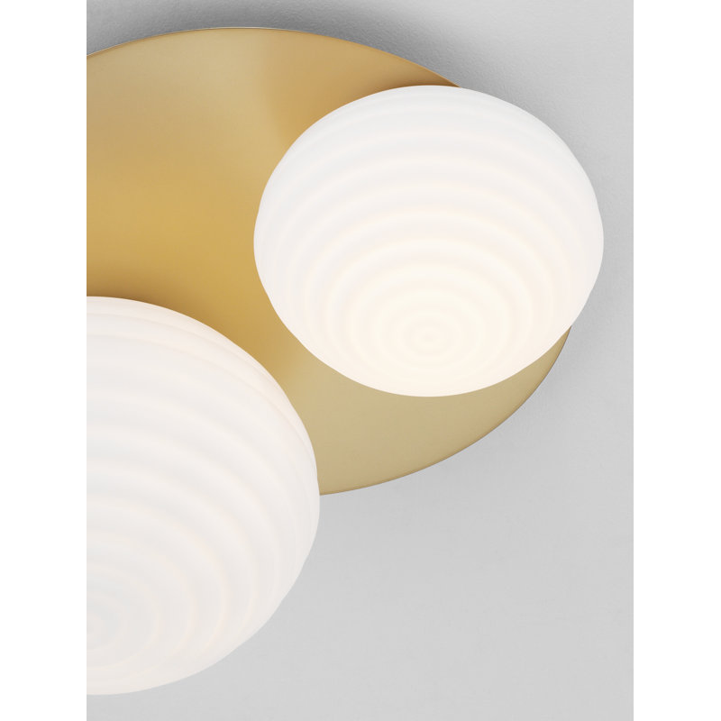 Beckie Glass Spotlight