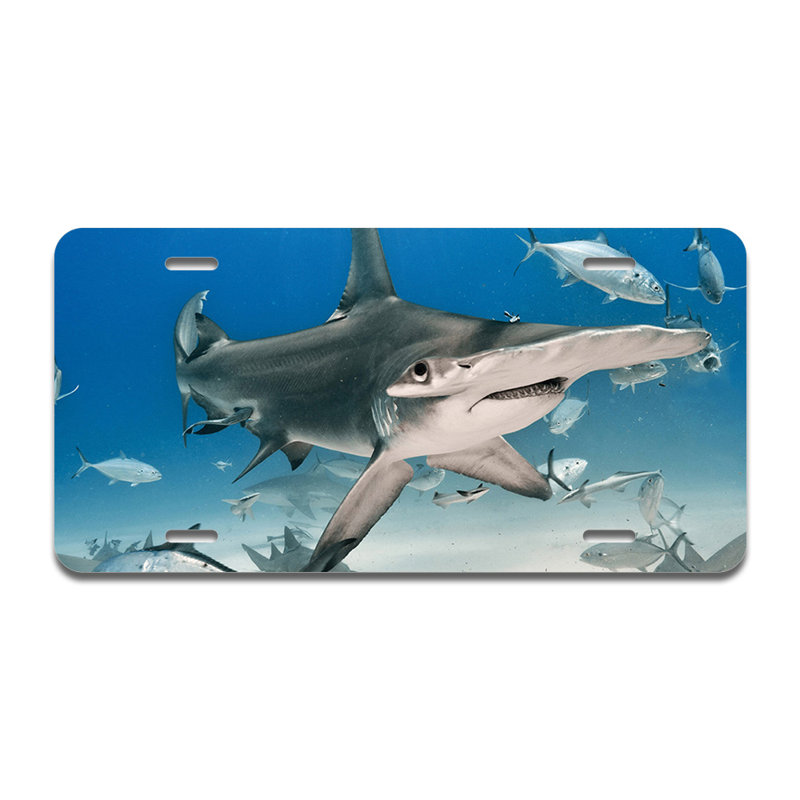 Cadre en aluminium Hammerhead
