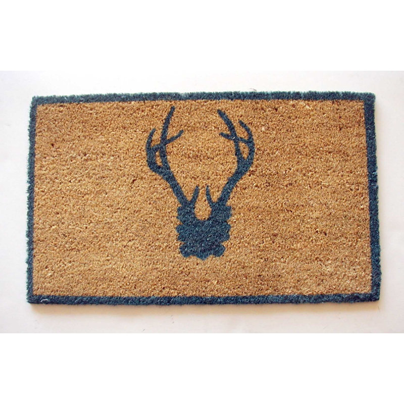 Bardwell Non-Slip Outdoor Doormat, 2'6" x 4', Blue
