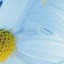 Print on Canvas-25525159