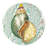 Hashimoto SIDE PLATES S/4 ASSORTED