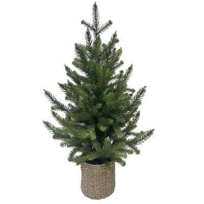 PINE TREE WITHBASKET