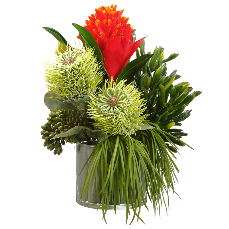 Broméliacées / succulentes / herbe sur vase en verre H 12 po x l 10 po x L 11 po