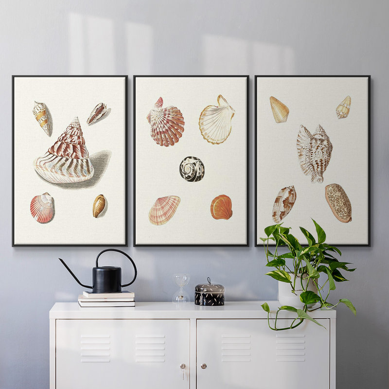 Pastel Knorr Shells VI 3 pièces, Noir, H 40 po x l 90 po x P 2 po