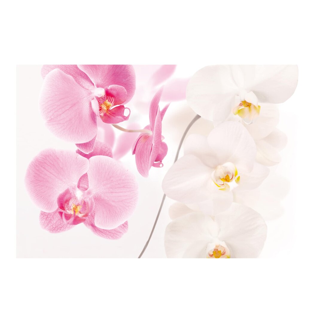 Matte Fototapete Zarte Orchideen 2,25 m x 336 cm