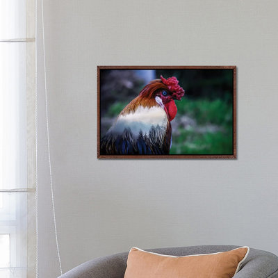Rooster 1 Piece Wall Art on Canvas