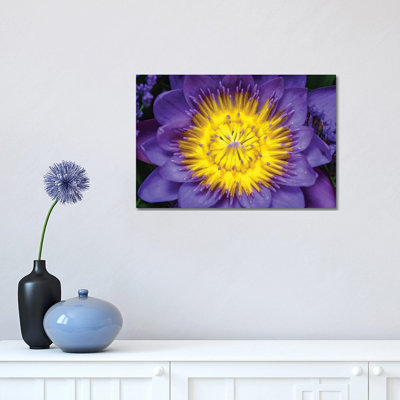 Lotus 1 Piece Wrapped Canvas Wall Art