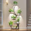 Multiple Plants Metal Flower Display Shelves Plant Rack Holder