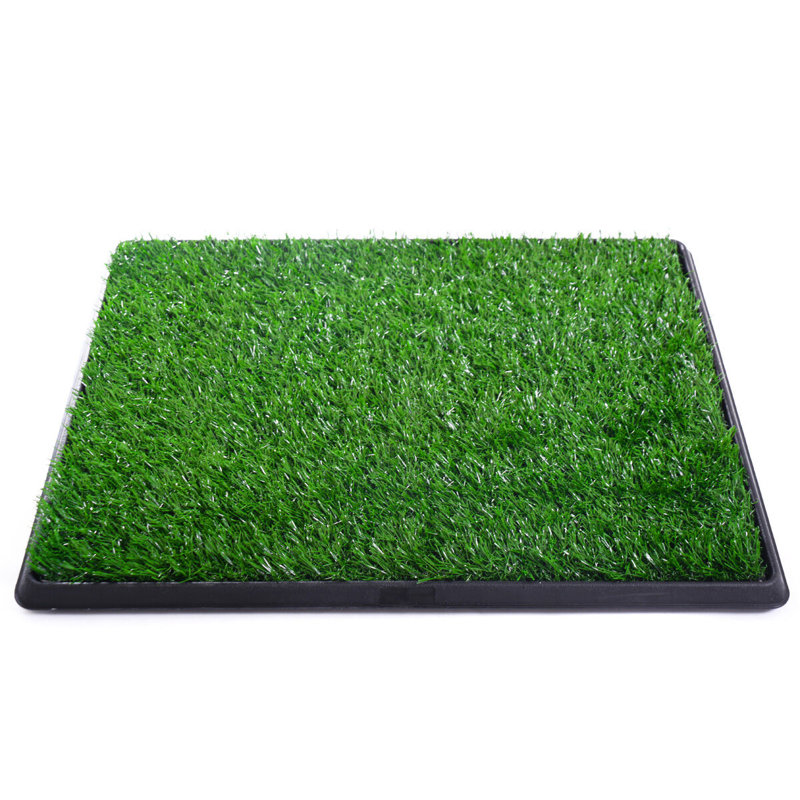Tucker Murphy Pet™ Artificial Grass Pet Turf