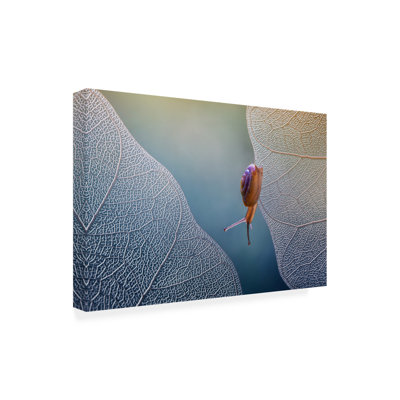Art sur toile «Bachel Ahmad Baihaki»