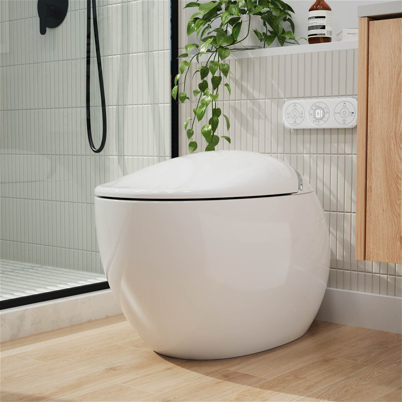 Toilette allongée une pièce à chasse double 1,1 / 1,6 GPF en blanc avec siphon, Blanc brillant