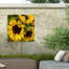 Décoration murale Amy Vangsgard «Tournesols»-1785752900