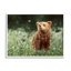 Conception d'art sur toile Stupell Industries Bear & Butterfly in Meadow par Mark Kelso-91305510