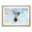 Hummingbird Paint Smudge in Abstract - Framed Print-55769159-55769157