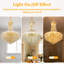 Alarica 10 - Light Chandelier