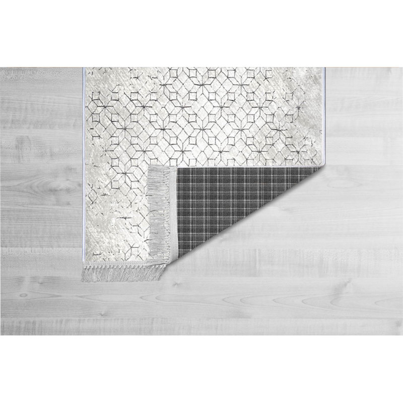 Tapis de couloir luxueux, 100% velours, 31,5 po x 59,1 po | Semelle en coton antidérapant, hauteur des poils: 0,4 po | Antibactérien et lavable à la machine, impression numérique 3D | Design élégant pour le salon et le vestibule