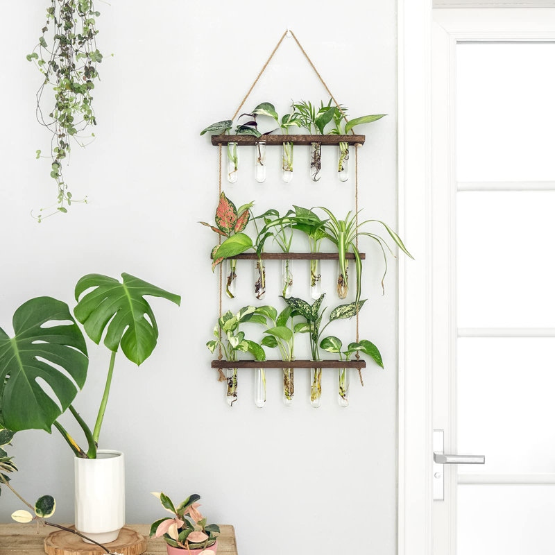 Terrarium mural à 3 niveaux avec support en bois, Brun