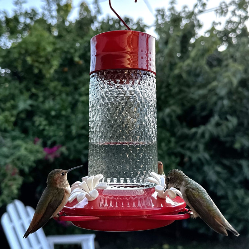 Mangeoire à colibri Gravity - Cerisier de charme