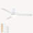 Amici Modern 48'' Flush Mount Ceiling Fan with LED Lights and Remote Control-93866032