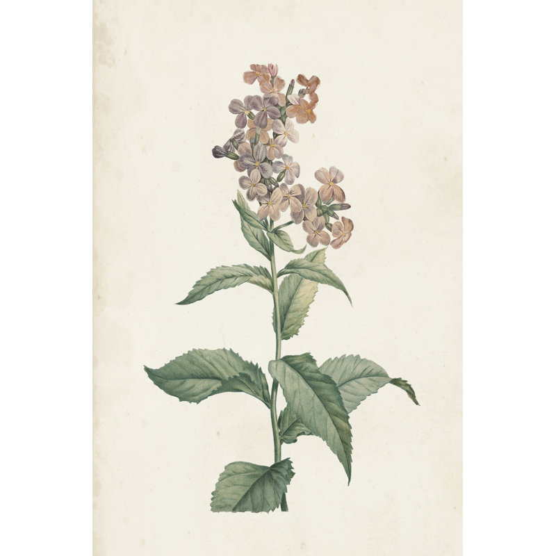 Classic Botanicals II, H 18 po x l 12 po