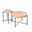Ensemble 2 pièces tables basses et tables de bout-393530328