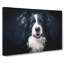 Border Collie Dog in Abstract - Wrapped Canvas-55312785