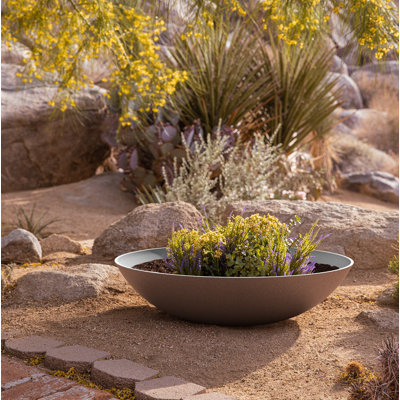 Pure Series Lane Weather Resistant Bowl Planter