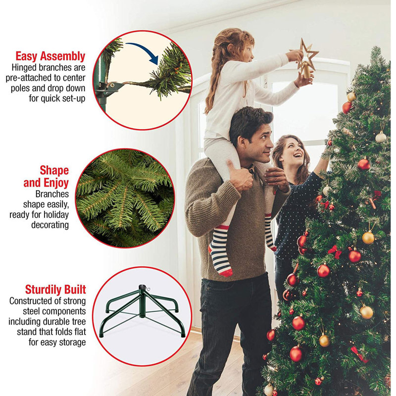 7.5 ft. Dunhill Fir Tree with Multi Color Lights