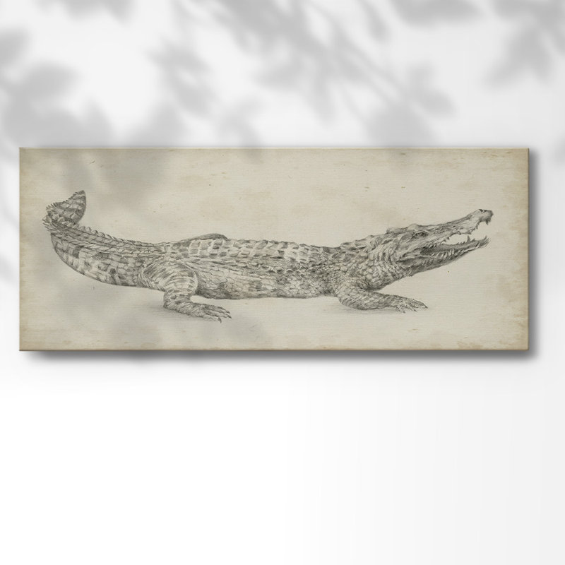 Croquis de crocodile sur toile, H 20 po x l 50 po x P 1,5 po
