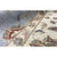 Wool Area Rug in Blue