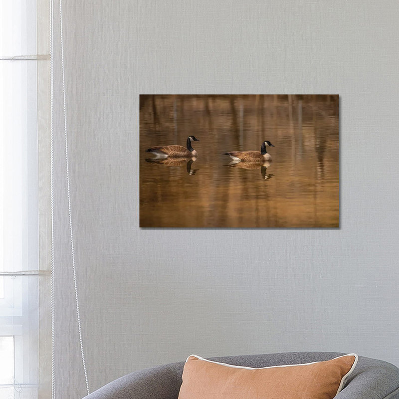 Mirror Image by Louis Ruth - Wrapped Canvas Print, 66.04 cm H x 45.72 cm W x 1.91 cm D