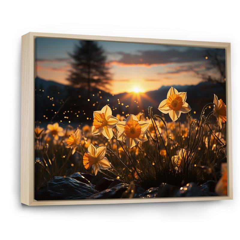 Daffodils Field Sunset I - impression, H 12 po x l 20 po x P 1 po, Cadre naturel flottant